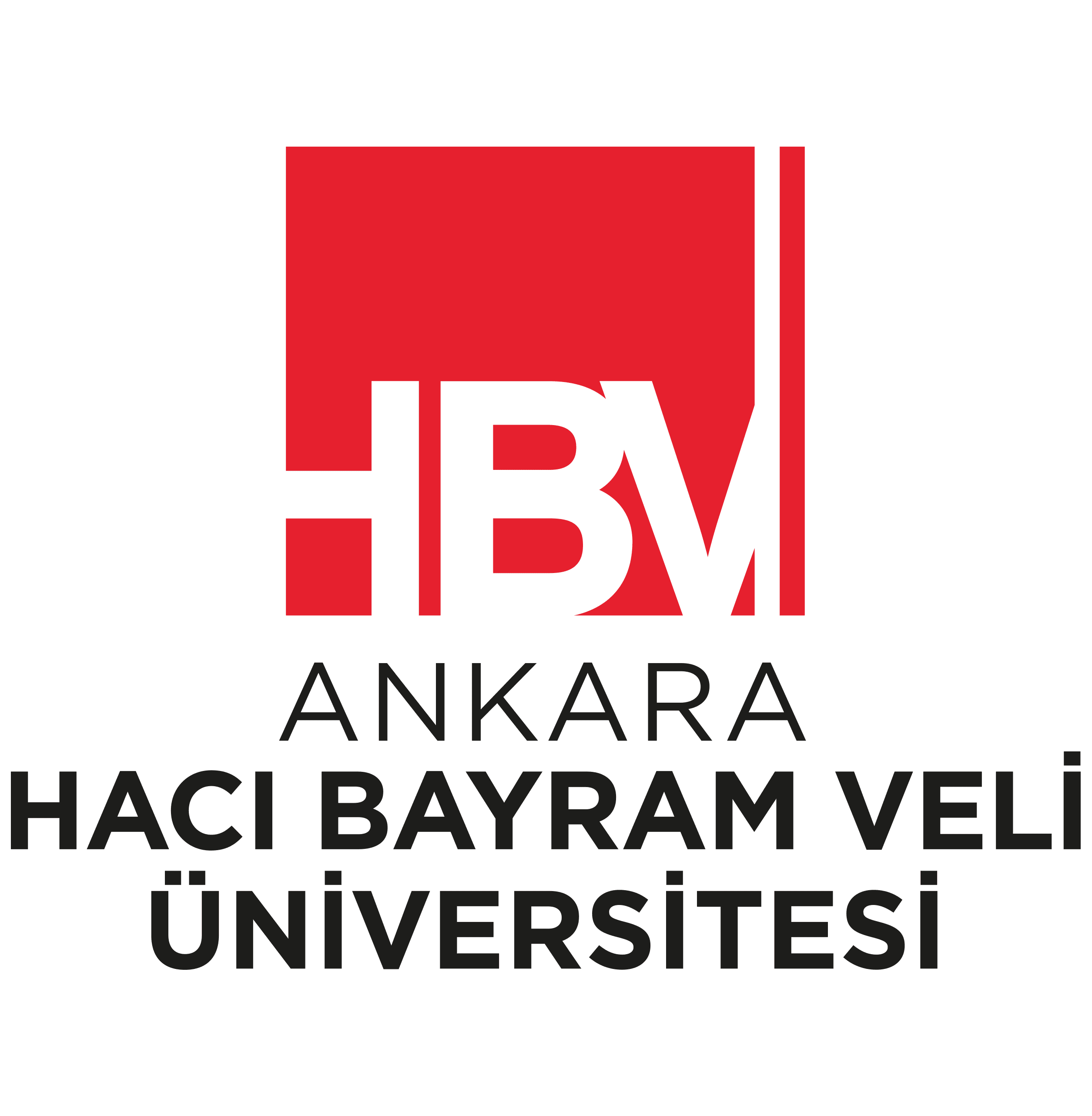 ANKARA HACI BAYRAM VELİ ÜNİVERSİTESİ GÜZEL SANATLAR FAKÜLTESİ 2026-2027 ÖZEL YETENEK SINAVI TARİHLERİ logosu