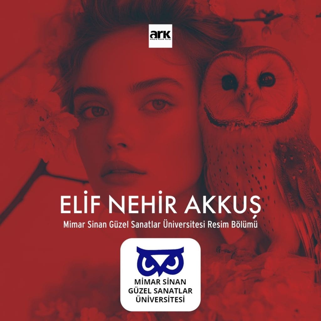 Elif Nehir Akkuş, Mimar Sinan Güzel Sanatlar Üniversitesi Resim Bölümü kazanan öğrencisi
